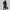Elegant Button-Up Wool Coat for Men