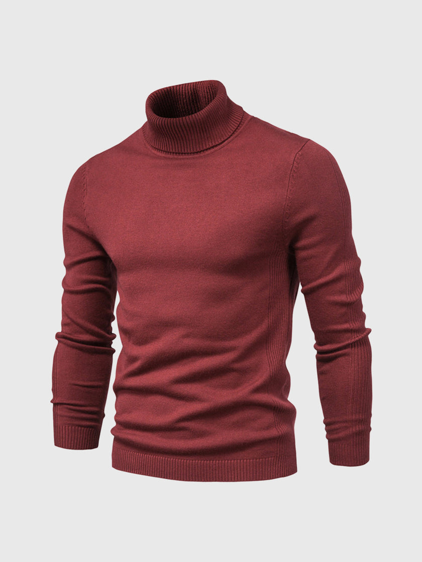 Cotton Turtleneck Sweater