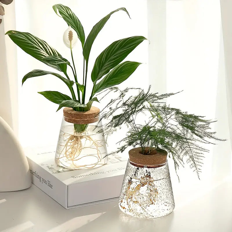 Alberic – Eco-Friendly Glass Plant Propagator