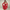 Hazel | Vintage Lace Corset Dress with Flared Sleeves – Mini Length