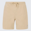 Jason Brandon - Summer Shorts