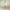 FJØRNA Studio | Retro Crochet Mini Dress with Bell Sleeves