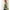Amelia – Turtleneck Top Women’s Cozy Chic | Sweater 3