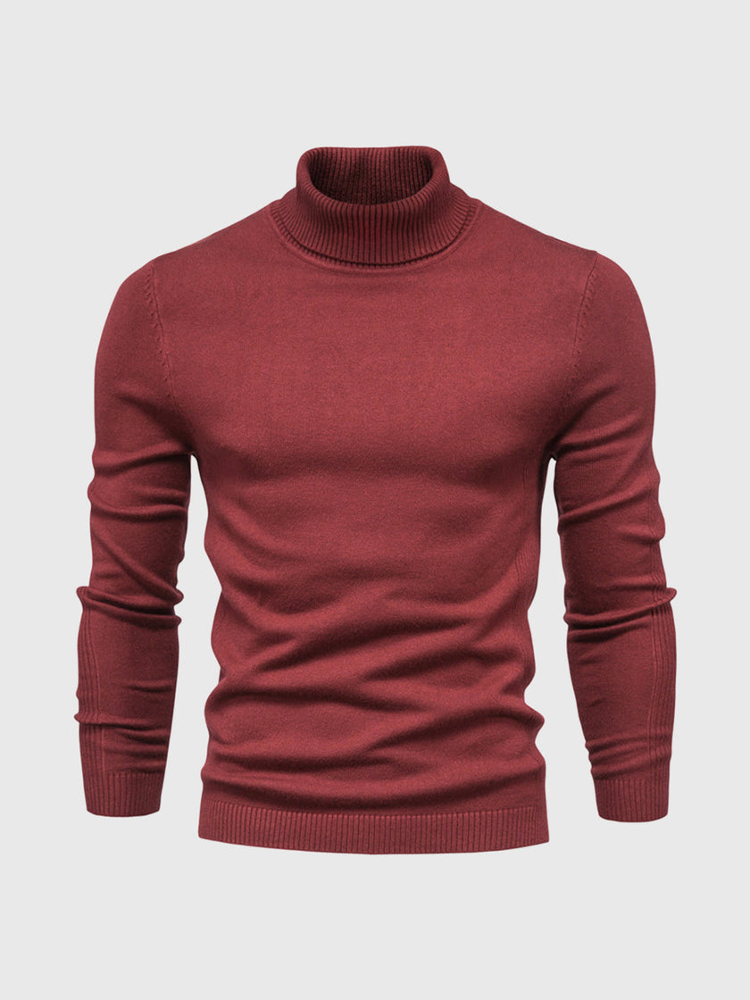 Cotton Turtleneck Sweater