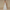 FJØRNA Studio | Women's Maxi Dress Silver