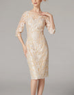 FJØRNA apricot chiffon mini dress for women with long sleeves, bodycon fit, embroidered details, perfect for elegant occasions