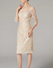 FJØRNA apricot chiffon mini dress for women with long sleeves and embroidered details, bodycon fit, perfect for stylish occasions