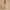 FJØRNA Studio | Women's Maxi Gown Beige