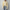 Olivia – Women’s Cozy Long Cardigan | Stylish Knit