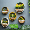 Ashlesha - Modern Hanging Wall Flower Pot