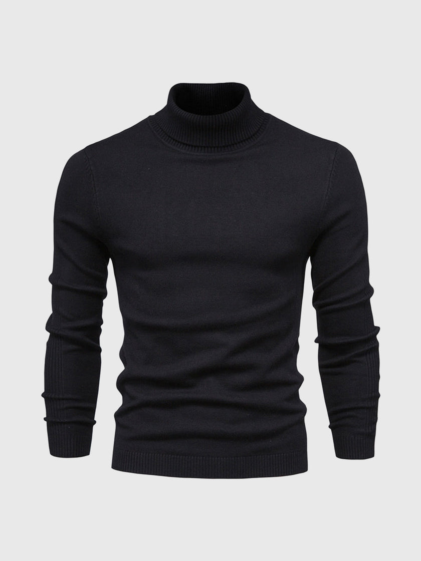 Cotton Turtleneck Sweater