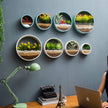 Ashlesha - Modern Hanging Wall Flower Pot
