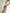 Silje | Stand Collar Silk Dress