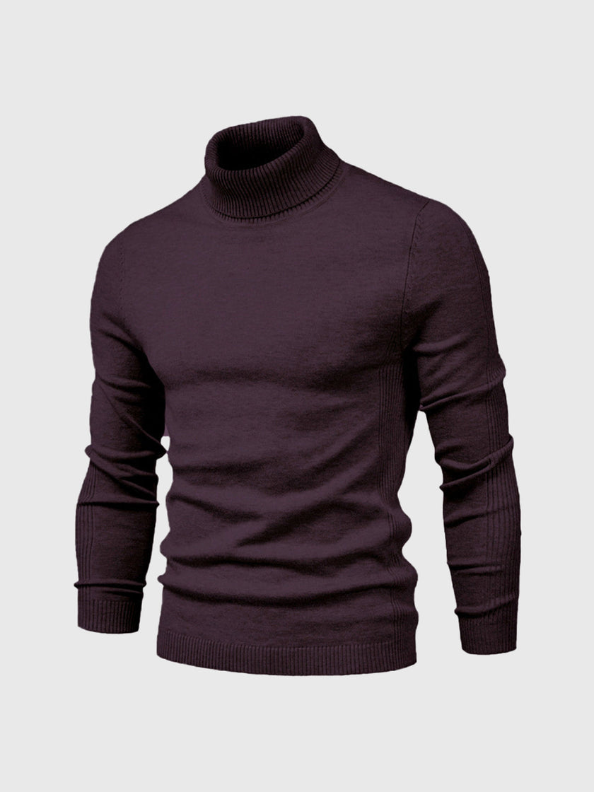 Cotton Turtleneck Sweater