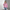 Grace – Women’s Elegant Puffer Jacket | Classic Winter Style