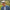 Carolous | Elegant Handcrafted Classic Panama Hat