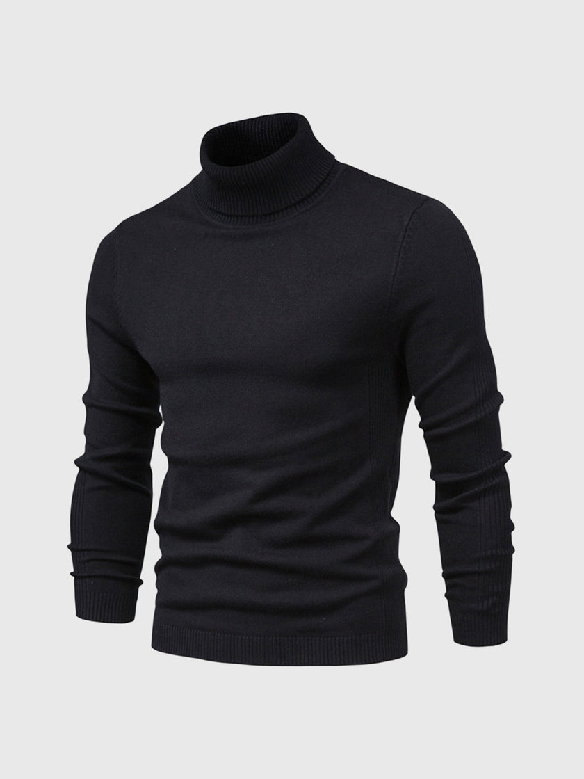 Cotton Turtleneck Sweater
