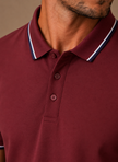 Men's classic tipped polo shirt by FJØRNA, smart casual cotton polo with a tailored fit and contrasting collar details.