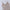 FJORNA Margerie | Elegant Evening Gown for Special Celebrations