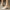 Eva | Comfortable Orthopedic Heels for Women