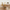 Hazel - Olivia Piercing Set – Effortless Edge, All-Day Comfort