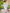 Fjorna | Women's Dress White Linen Oversized Puff Sleeve Size S 3