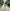 Fjorna | Women's Maxi Dress Pastel Size M Chiffon 3