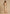 Fjorna | Women's Maxi Gown Beige Size M Polyester 0