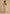 Fjorna | Women's Maxi Gown Beige Size M Polyester 1