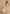 Fjorna | Women's Maxi Gown Beige Size M Polyester 5