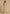 Fjorna | Women's Maxi Gown Beige Size M Polyester 6