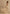 Fjorna | Women's Maxi Gown Beige Size M Polyester 7