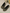 Fjorna | Women's Slip-On Shoes Black Soft Material Comfortable All-Day Wear 2