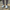 Charlie - Barefoot Shoes - Lightweight & Pain-Free Movement