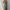 FJORNA Margerie | Elegant Evening Gown for Special Celebrations