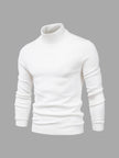 Cotton Turtleneck Sweater