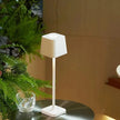 Luxilight Adjustable Brightness Table Lamp