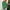 Clara – Christmas Jumper Women's Fun Pattern | Pullover 10
