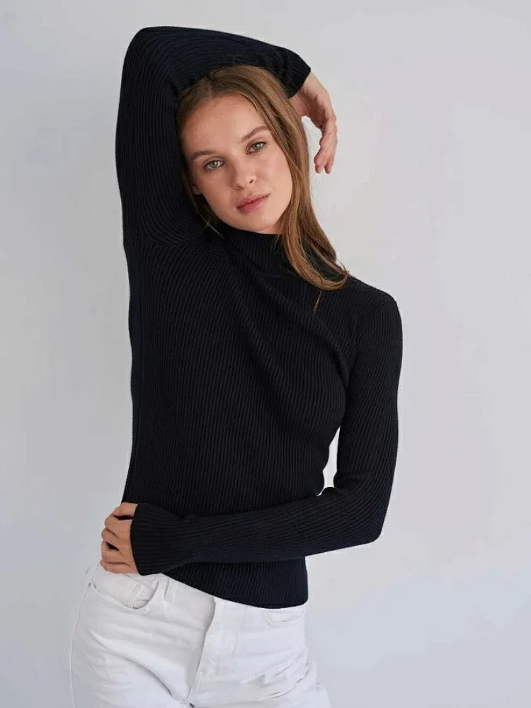 Ribbed Turtleneck Sweater