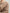 Sarah – Jumper + Women’s - Cozy/Chic | Pullover Sweater 4