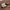 Hadu | Wooden Jewellery Box