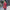 Alex – Black Puffer Jacket for Women - Lightweight Stylish | Women's Jacket 3