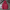 Mia – Women’s Hoodie + Stylish/Comfortable | Sweatshirt 12