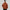 Ethan – Men's Puffer Jacket - Warm & Casual | Outerwear 4