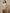 Sarah – Jumper + Women’s - Cozy/Chic | Pullover Sweater 1