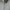 Emily – Women's Hoodie + Stylish/Oversized | Sweatshirt 2