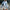 Hannah – Oversized Sweater Women’s Cozy Crew Neck | Pullover 2