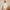 Bella – Women's Cardigan + Cozy/Chic | Cardigan Sweater 3