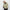 Mia – Black Puffer Jacket for Women - Stylish & Warm | Winter Coats 1