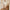 Bella – Women's Cardigan + Cozy/Chic | Cardigan Sweater 2